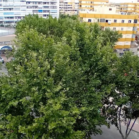 Проживання в сім'ї Cryptocalp *